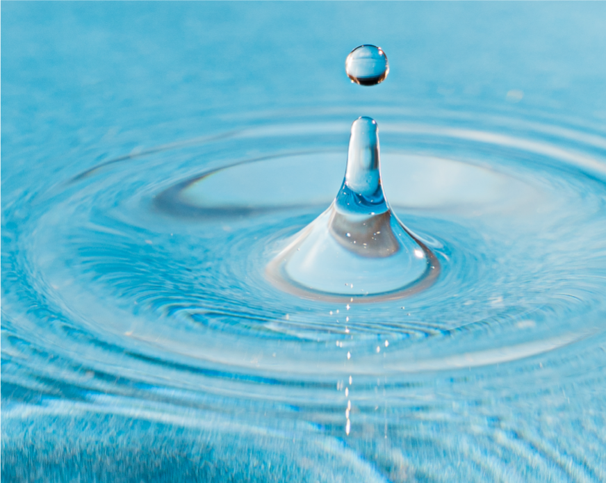 水脂膜修護因子