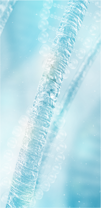 海洋修護秀髮因子