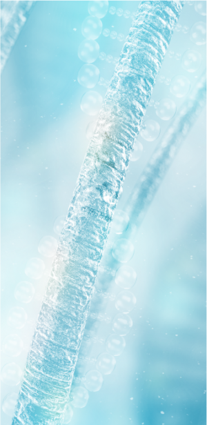 海洋修護秀髮因子